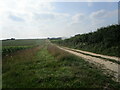 Farm track near Lodge Farm in PE32 2BH