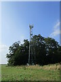 Communications mast near Castle Acre in PE32 2FP
