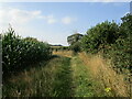 Peddars Way and Norfolk Coast Path alongside Massingham Road in PE32 2BL
