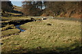 Bridge over Clough Brook, near Wildboarclough in SK11 0BE