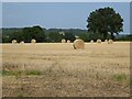 Straw bales at Upper Maund in HR1 3JD