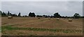 Bales on Moor Meadow in HR9 5JA