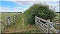Fenced bridleway near Upton in NG23 5TA