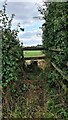 Stile leading off bridleway near Upton in NG23 5TA
