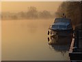The River Thames, Moulsford in RG8 0JS