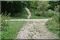 Tracks cross, Friston Forest in BN25 4AN