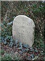 Old Boundary Marker on the A386 near Southmoor Farm in EX20 3PZ