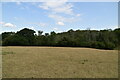 Part of Marriage Wood in TN25 5DN
