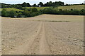 Footpath across field in Crundale