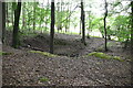 Pit in Gravelly Wood in RG9 6JZ