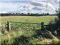 Fields Opposite Trimdon House Farm in TS29 6JT