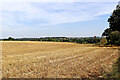 Stubble field west of Claverley in Shropshire in WV5 7BP