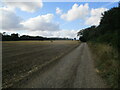 Field  side  track  and  footpath  toward  Hall  Farm in Great Glemham