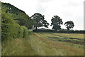 Footpath, edge of Frith Wood in TN11 9RG