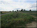 Drain alongside Coward's Lane, Burtey Fen in Pinchbeck and Surfleet Ward