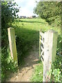 Footpath to Stonegate in TN5 7EE