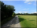 Track from Cock's Wood in TN5 7DU