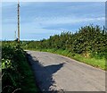 Road west of Church Farm, Newchurch, Monmouthshire in NP16 6DD