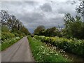 Lane from Rolstone looking towards Silver Moor Bridge in BS29 6LA