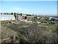 Allotments at High Etherley in DL14 0LD