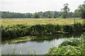 Itchen valley bottom near Brambridge in SO21 1SP