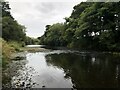 River Wear Near Page Bank in DL16 7RE