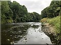 River Wear Near Byers Green in DL16 7PU