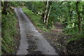 Footpath diverging from track in EX31 4QA