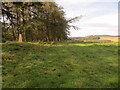 Pasture, Woodland and Triangulation Pillar near Bankhead in AB51 7NS