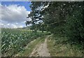 Crops and track beside Watergate Hanger in Stoughton