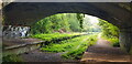 Underside of Bridge, West Meon Trail in GU32 1JJ