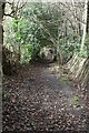 Track into Water Wood in TN15 6AN