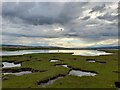Salt Marsh at Alness Point in IV17 0YJ