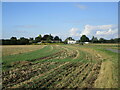 Stubble field alongside Hog's Lane in PE12 6TD