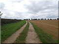 Farm track to Langton in Langton