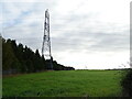 Grazing and pylon beside railway, Newton in G72 7TH