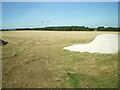 Field of stubble north of Swinhoe in NE68 7UX