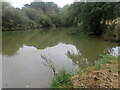 Pond at Bearhurst Farm in TN5 7DU