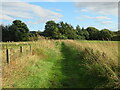 Path towards Restenneth Priory in DD8 3NZ