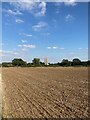 Looking across the fields towards Lavenham Church in CO10 9SH