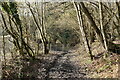Footpath in Furnace Wood in TN6 3PE