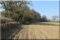 Footpath along field boundary in TN6 3PF