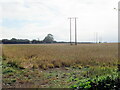 Field off Croft Lane near Temple Grafton in B49 6PA