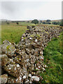 Extra wide, dry-stone wall in CA19 1TJ