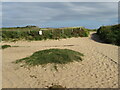 Paths near Hengistbury Head in BH6 4BY