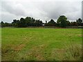 Grassland towards railway, Kennishead in G46 8JU