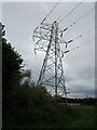 Electricity pylon near Kensford in EX7 0QS