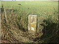 Old Milestone, Carterton Rd, B4020 in OX18 4PA