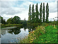 Fish pond and poplars, Doddington Hall estate in LN6 4RU