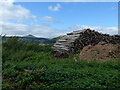 Wood pile next to the road, with the Sugarloaf in the far distance in NP7 8AT